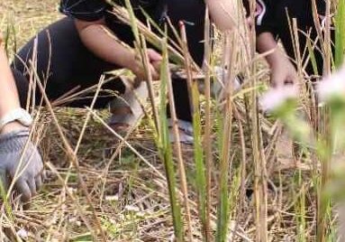 Outdoor Activity