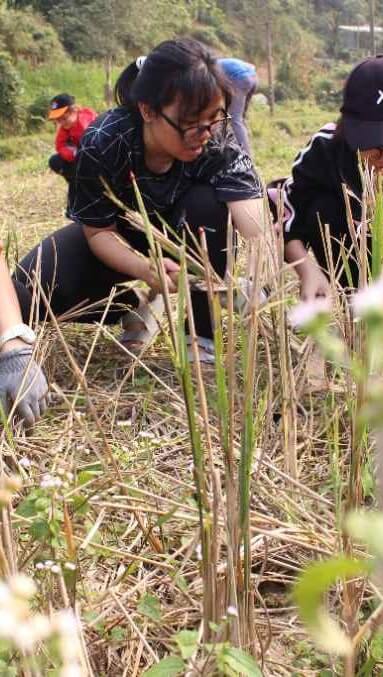 Outdoor Activity