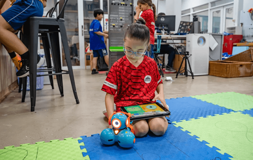 How Can STEM Education Shape Future Opportunities?