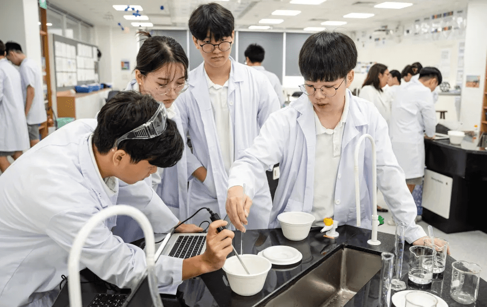 STEM vs STEAM Education: Understanding the Key Differences