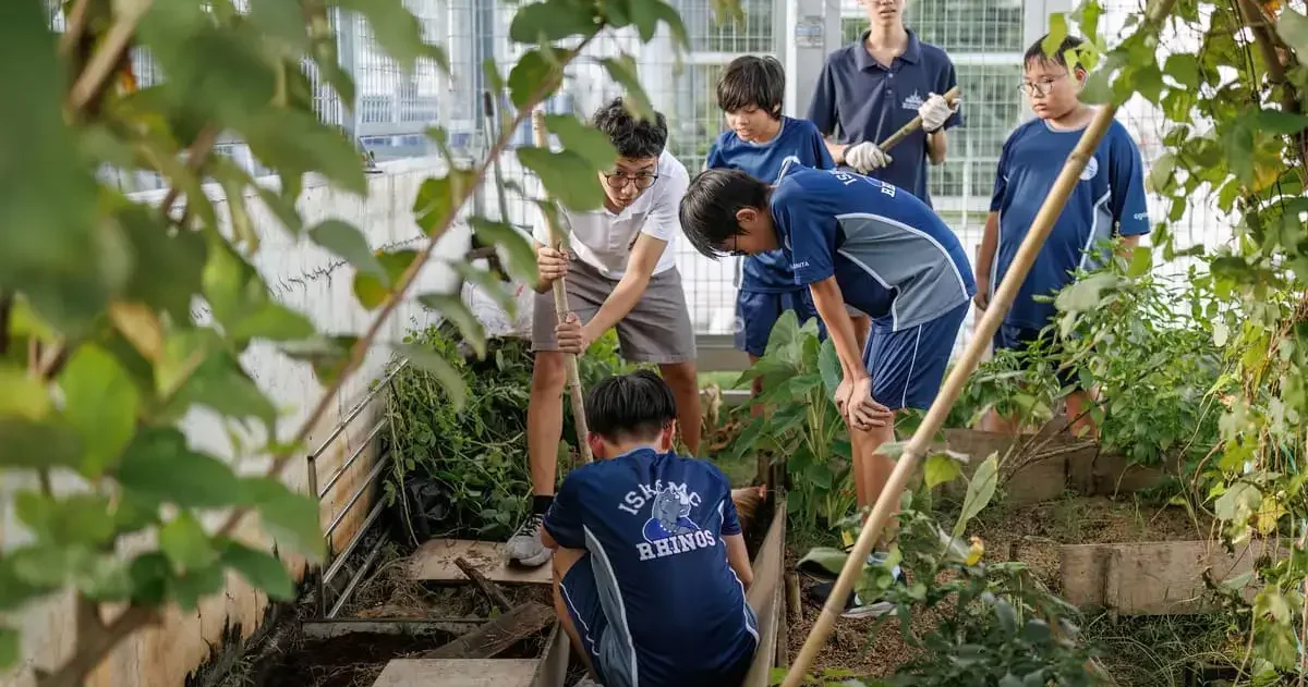 20 Sustainability Project Ideas For Schools That Work