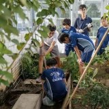 20 Sustainability Project Ideas For Schools That Work