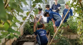 20 Sustainability Project Ideas For Schools That Work