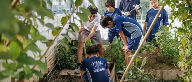 20 Sustainability Project Ideas For Schools That Work