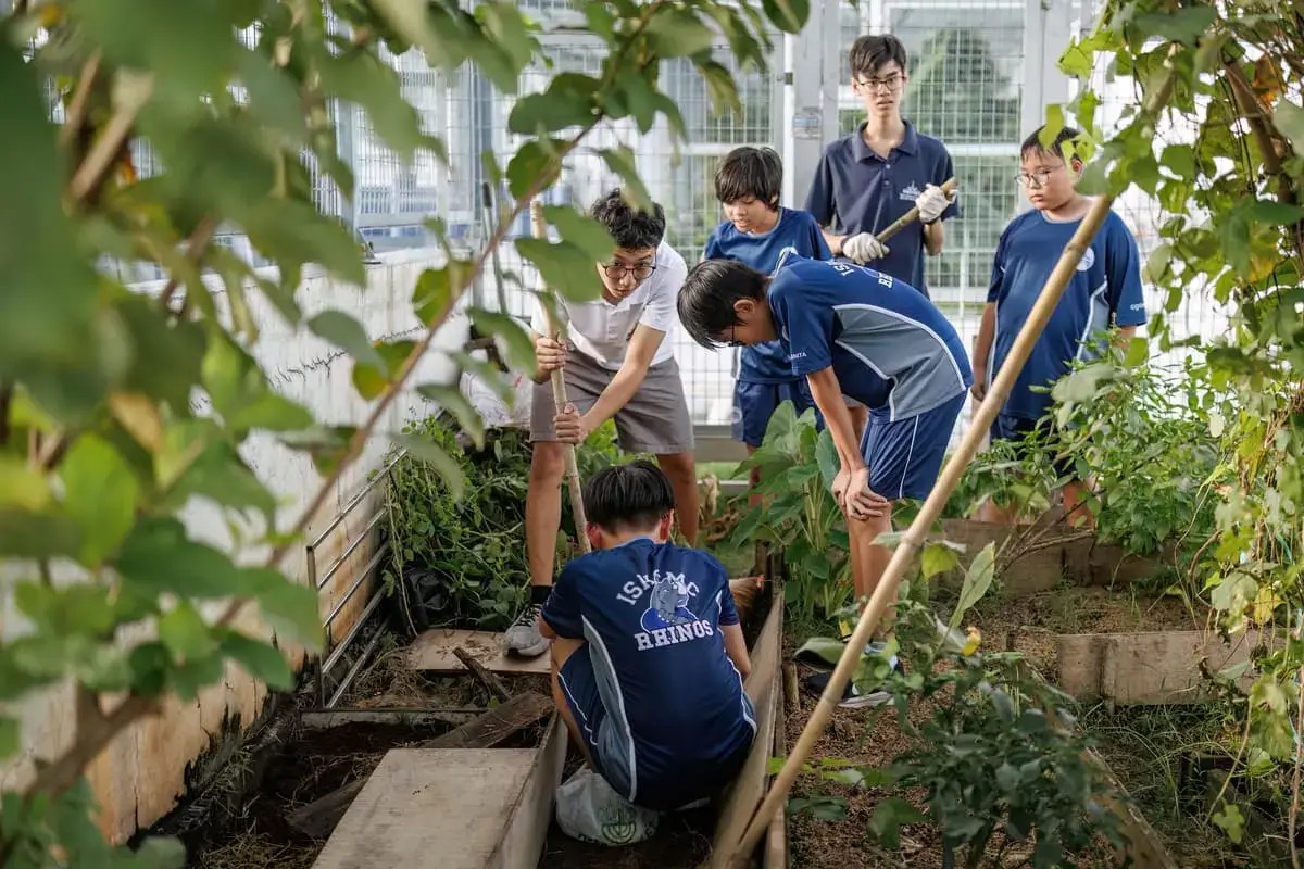 20 Sustainability Project Ideas For Schools That Work