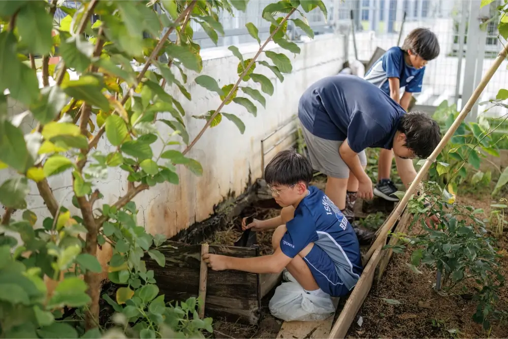 School Garden Club