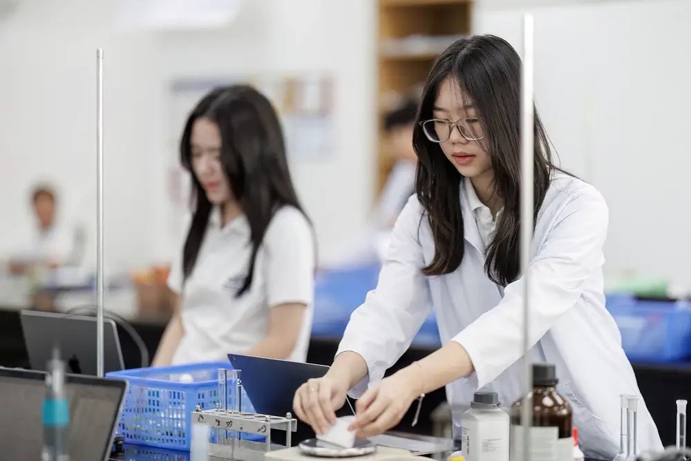 What Are Research Skills for Students?