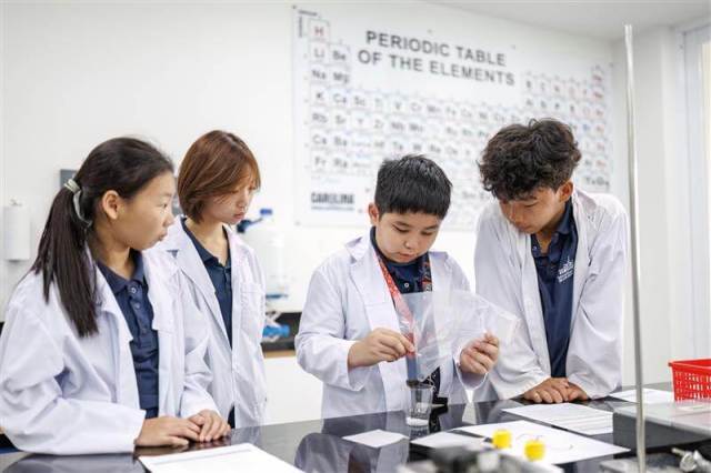 291024_3M4A7373_DN (1)