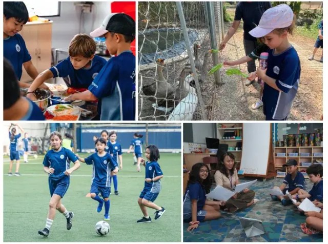 Active Learning and Curiosity Through the IB PYP