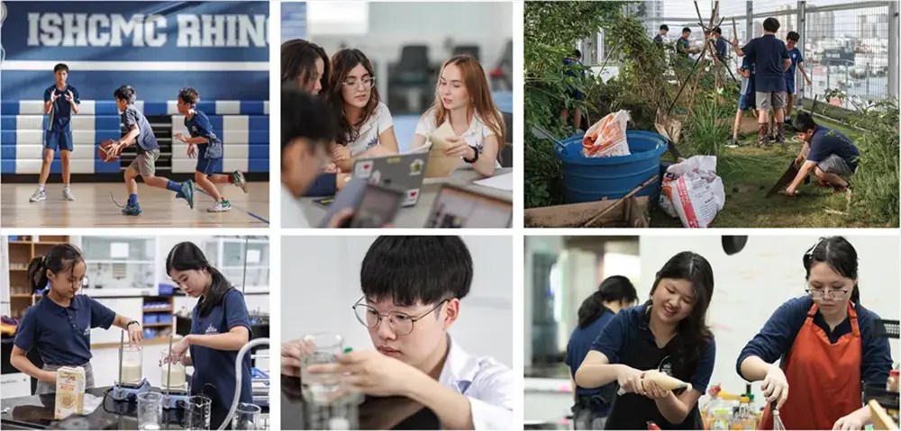 Complex Problem-Solving in the MYP