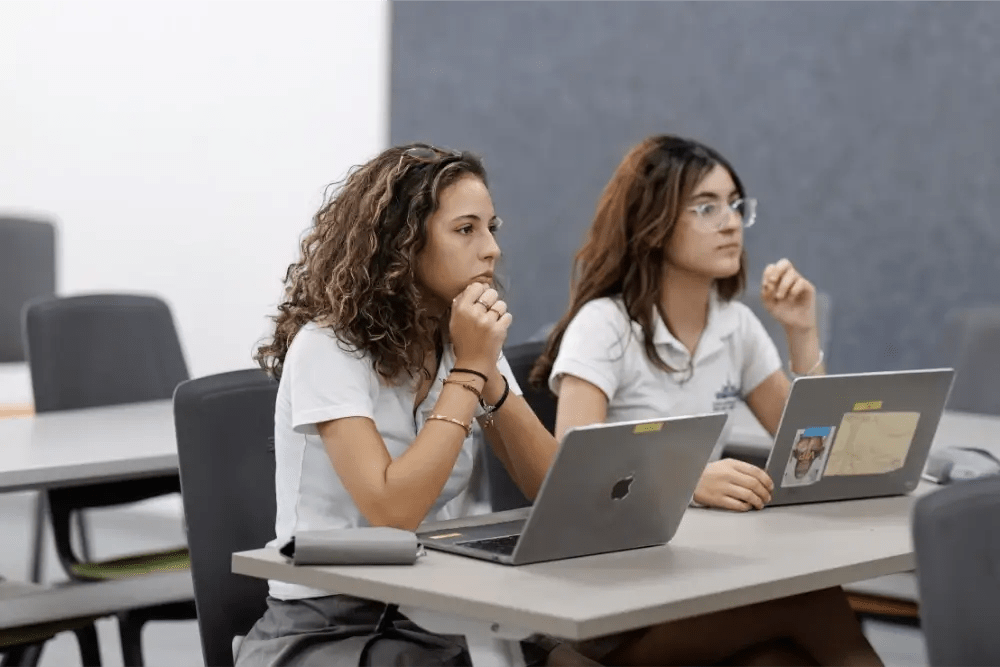 What’s the Difference Between IBDP and IBCP?