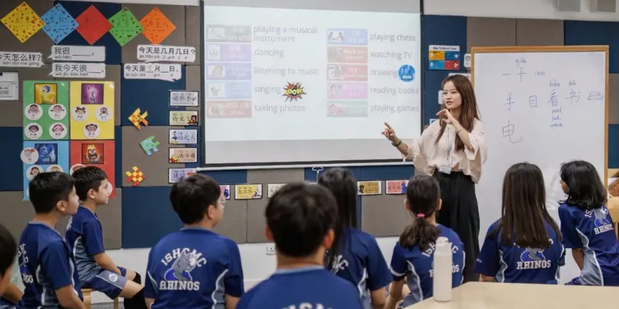 European Baccalaureate vs International Baccalaureate Differences
