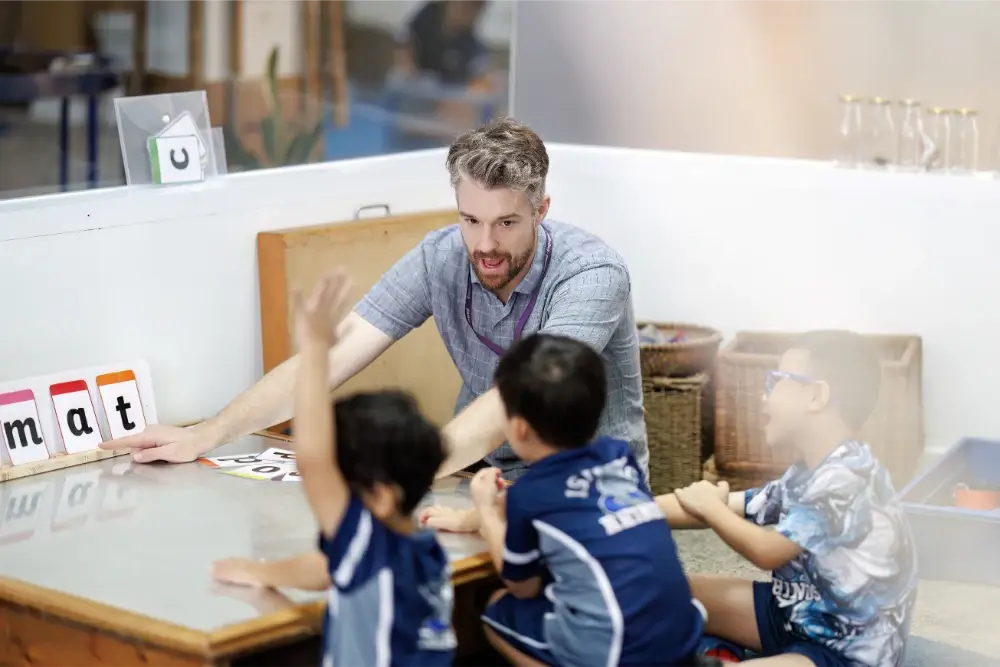 International Baccalaureate Structure (IB Diploma Programme)