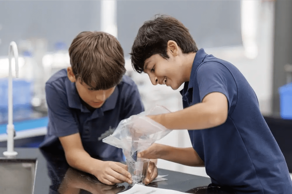 Phân Loại IB vs Cambridge vs AP Dành Cho Phụ Huynh