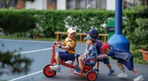 How Making Sense of Our Environment Helps Us Develop