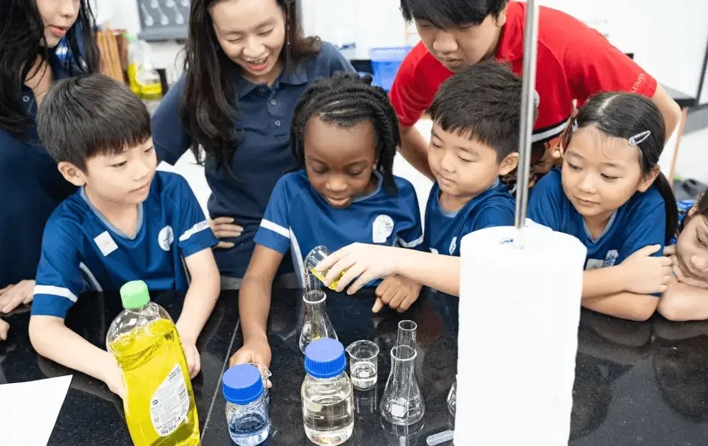 Phương pháp giáo dục STEM trong trường tiểu học: Vai trò và cấu trúc cốt lõi
