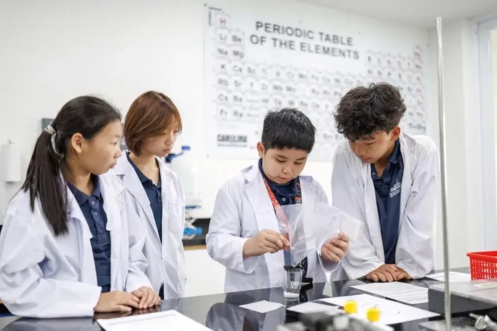 Cơ Hội Học Tập Đa Lĩnh Vực