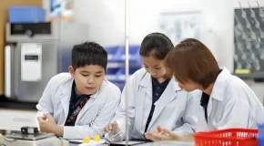 STEM Và STEAM: Phát Triển Kỹ Năng Sáng Tạo & Tư Duy