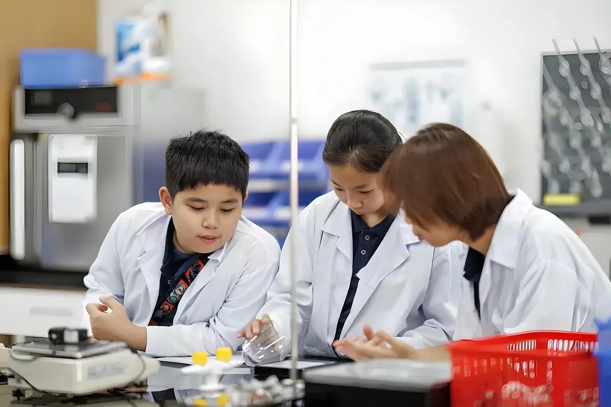 STEM Và STEAM: Phát Triển Kỹ Năng Sáng Tạo & Tư Duy