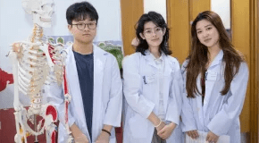 Essential Guide to the IB Biology HL Curriculum for Parents