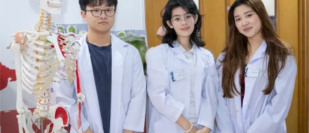 Essential Guide to the IB Biology HL Curriculum for Parents