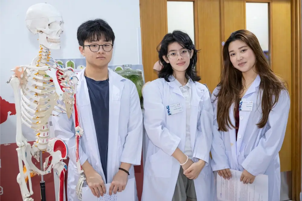 Essential Guide to the IB Biology HL Curriculum for Parents