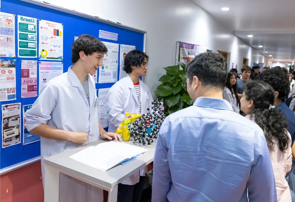 The Standard Level (SL) vs. Higher Level (HL) Distinction