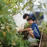Khám Phá 3 Hoạt Động Tình Nguyện tại Trường Quốc tế ISHCMC