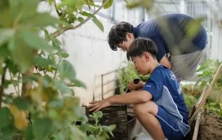 Khám Phá 3 Hoạt Động Tình Nguyện tại Trường Quốc tế ISHCMC
