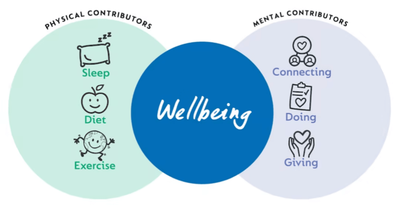 Cognita Be Well Charter defines wellbeing and highlights six contributors