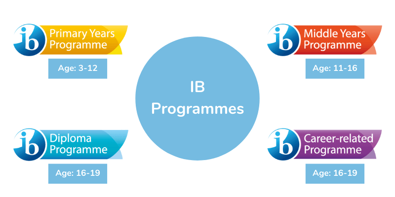 What are IBO and the IB Education Program?