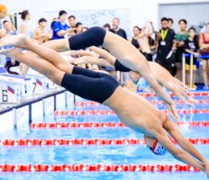 A swimming student dives into a pool